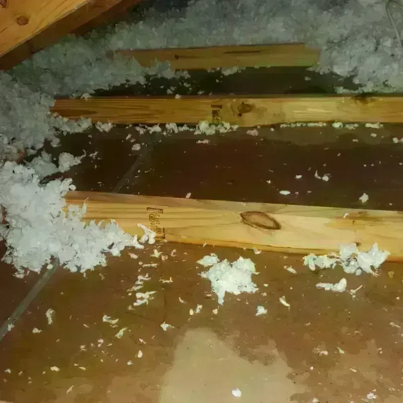 Attic Water Damage in Hebron, CT